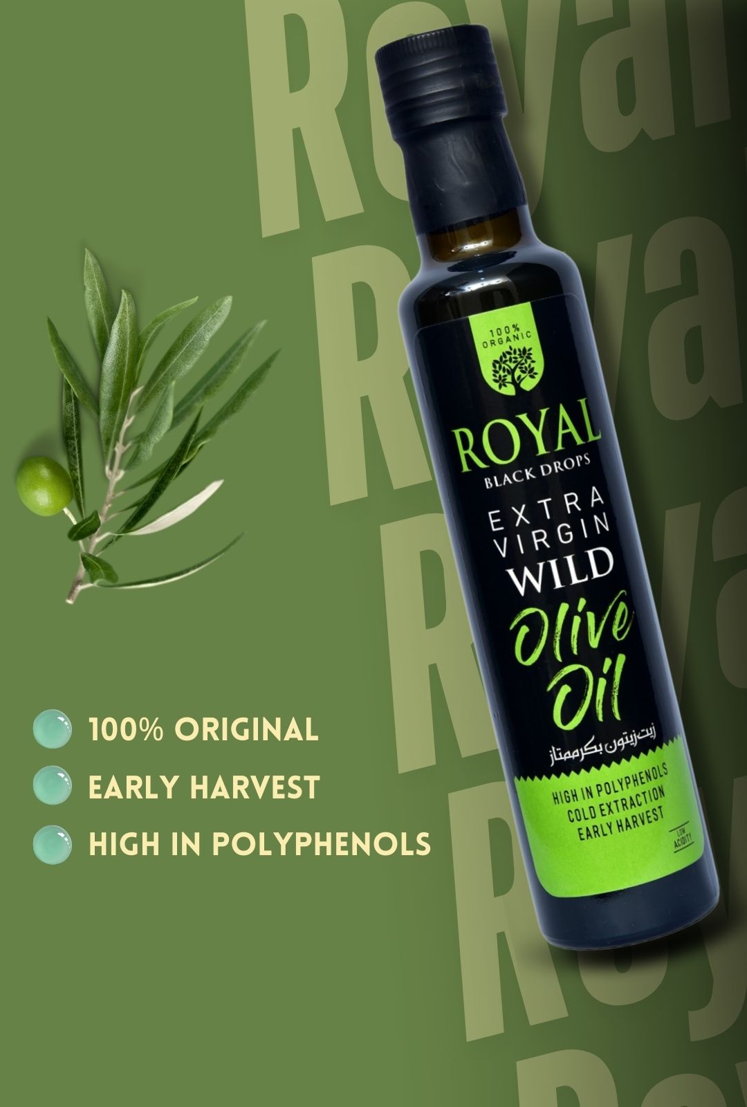 olive olive oil